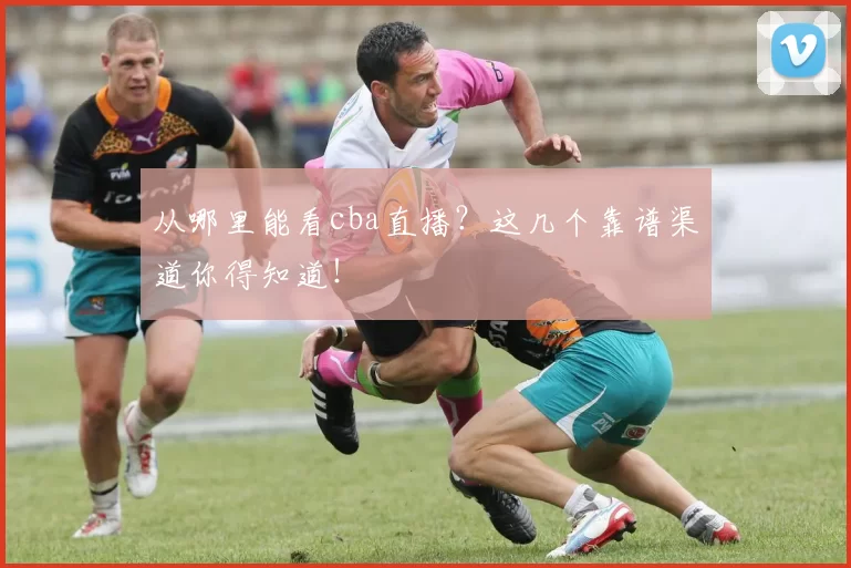 从哪里能看cba直播？这几个靠谱渠道你得知道！