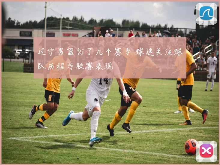 辽宁男篮打了几个赛季 球迷关注球队历程与联赛表现