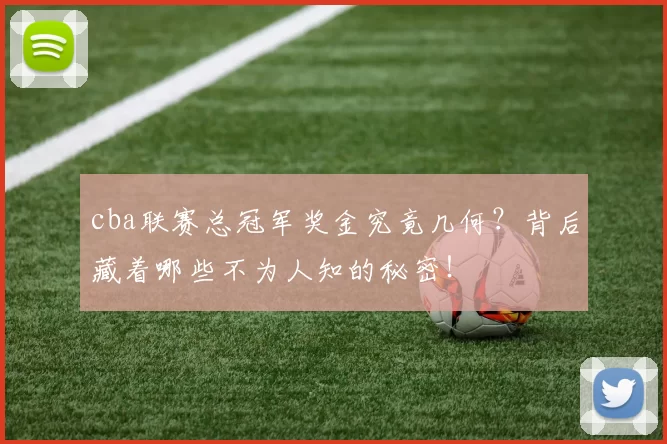 cba联赛总冠军奖金究竟几何？背后藏着哪些不为人知的秘密！