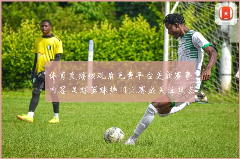 体育直播线观看免费平台更新赛事内容 足球篮球热门比赛成关注焦点