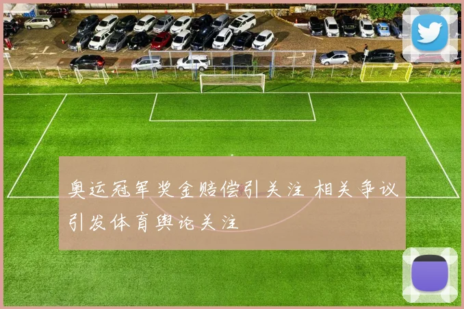 奥运冠军奖金赔偿引关注 相关争议引发体育舆论关注